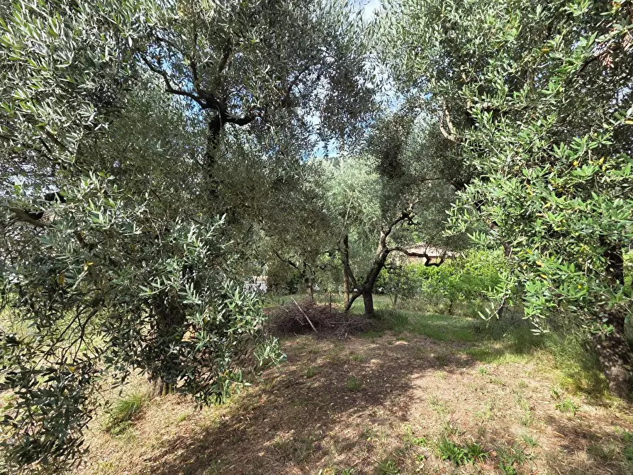 Immagine 12 di Villa in vendita  a Lucca