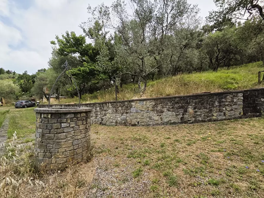 Immagine 47 di Villa in vendita  a Lucca
