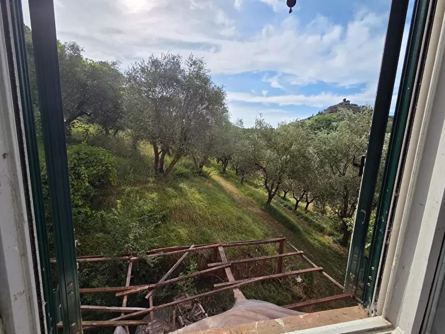 Immagine 21 di Villa in vendita  a Lucca