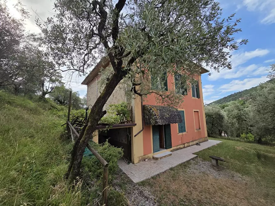 Immagine 45 di Villa in vendita  a Lucca