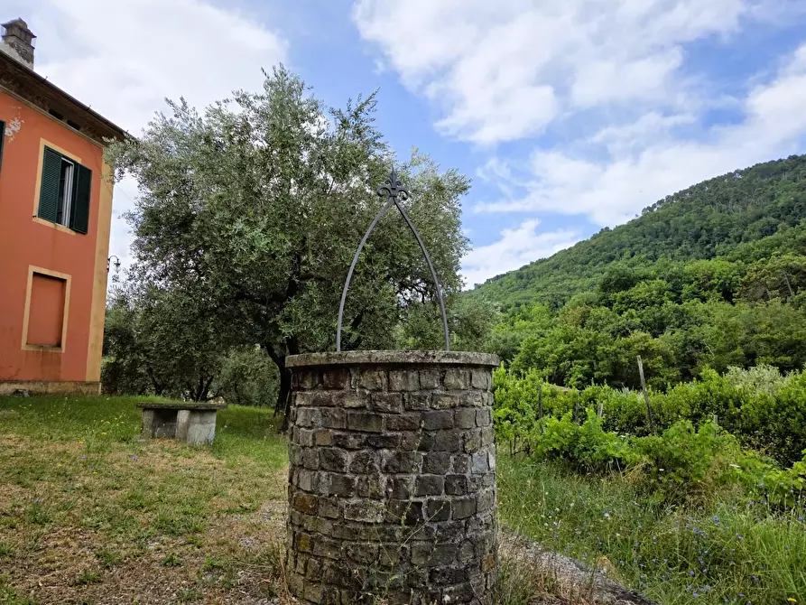 Immagine 53 di Villa in vendita  a Lucca