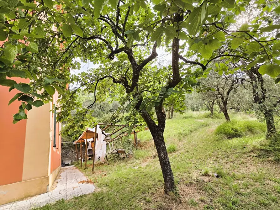 Immagine 13 di Villa in vendita  a Lucca