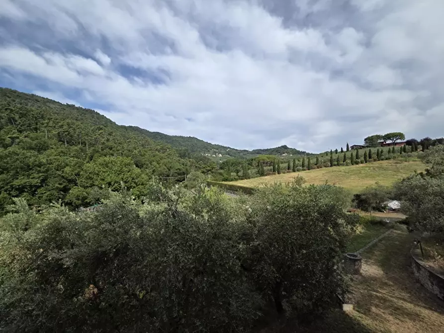 Immagine 30 di Villa in vendita  a Lucca