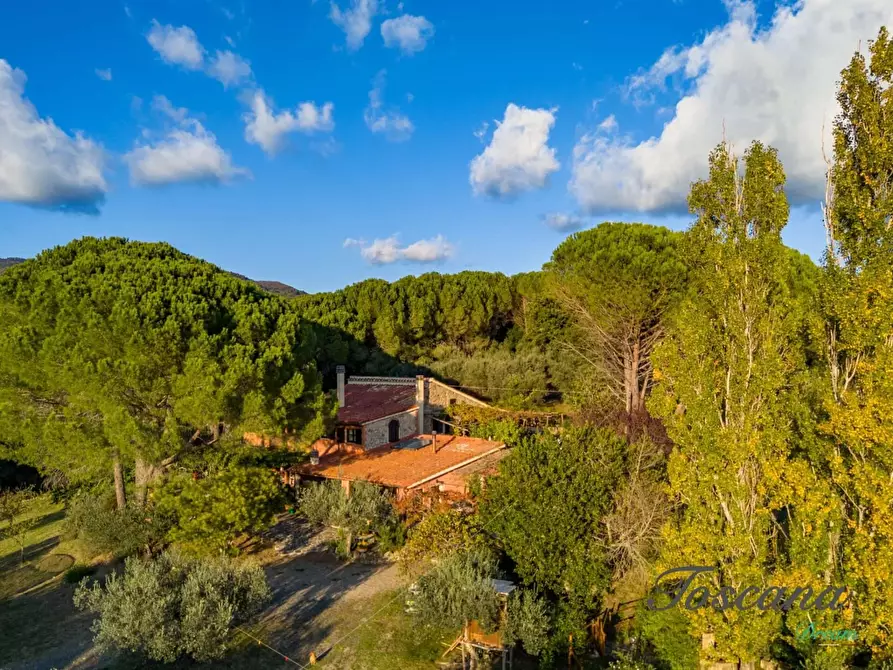 Immagine 7 di Casa colonica in vendita  a Roccastrada