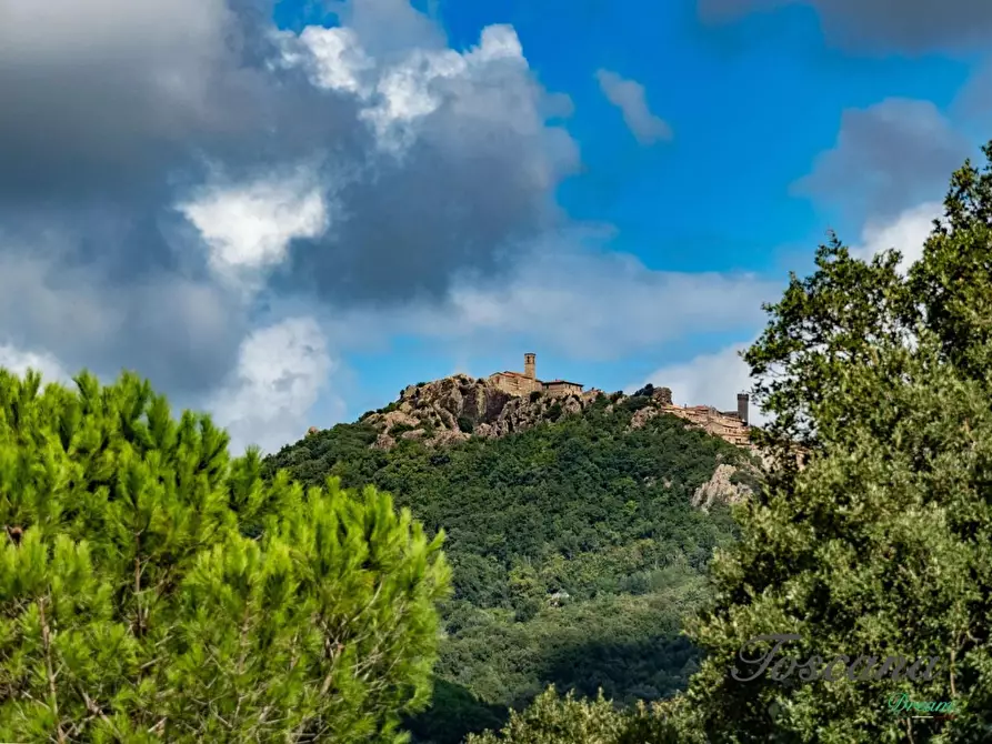 Immagine 10 di Casa colonica in vendita  a Roccastrada