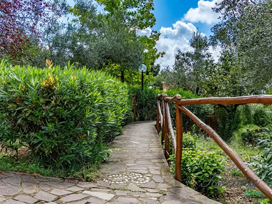 Immagine 21 di Casa colonica in vendita  a Roccastrada