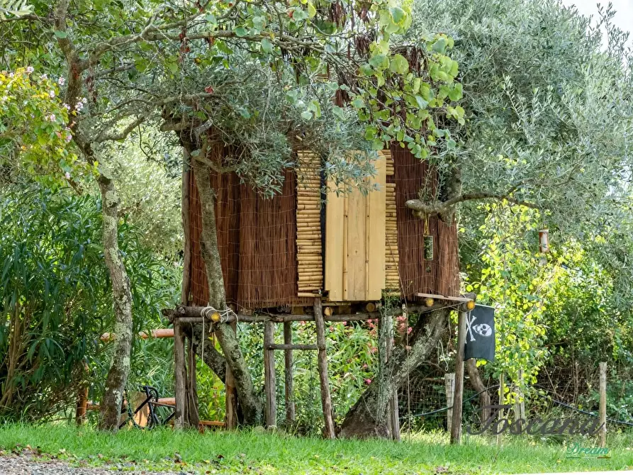 Immagine 22 di Casa colonica in vendita  a Roccastrada