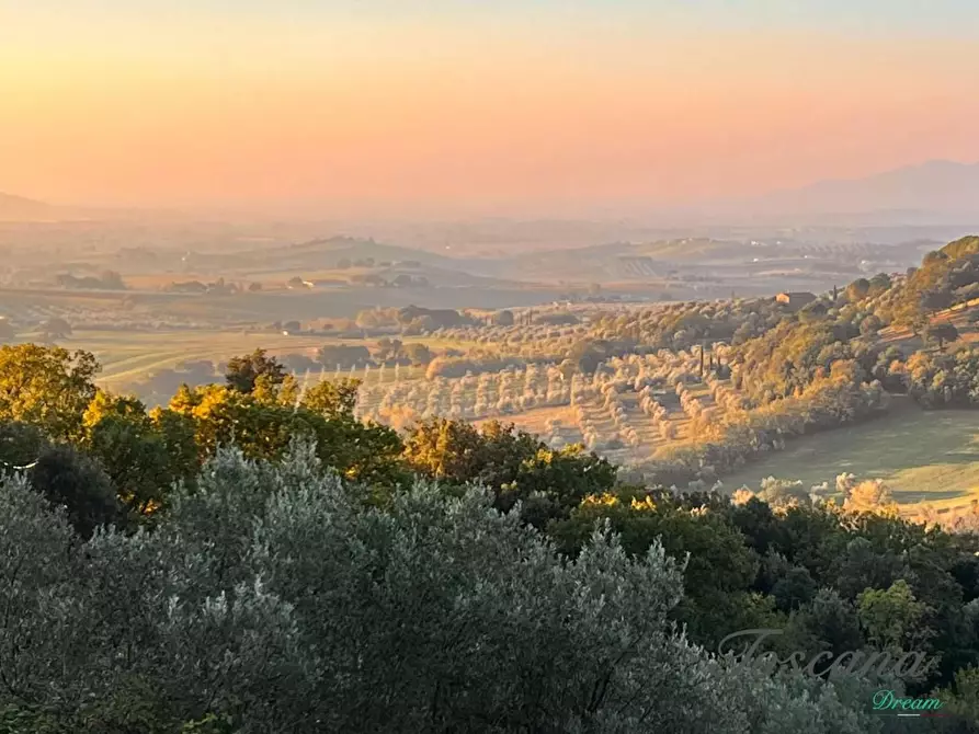 Immagine 76 di Casa colonica in vendita  a Roccastrada