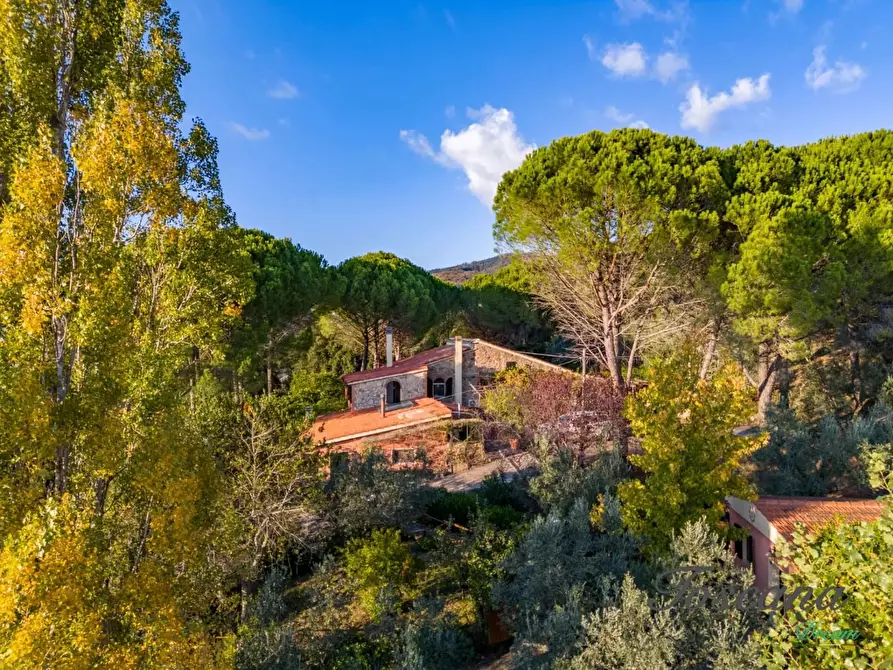 Immagine 6 di Casa colonica in vendita  a Roccastrada