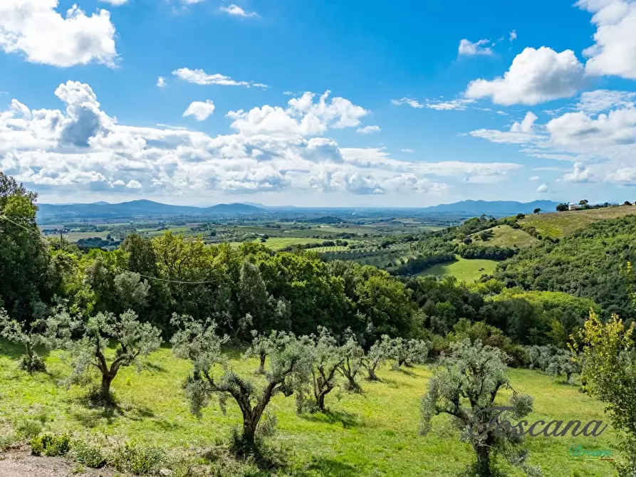 Immagine 9 di Casa colonica in vendita  a Roccastrada