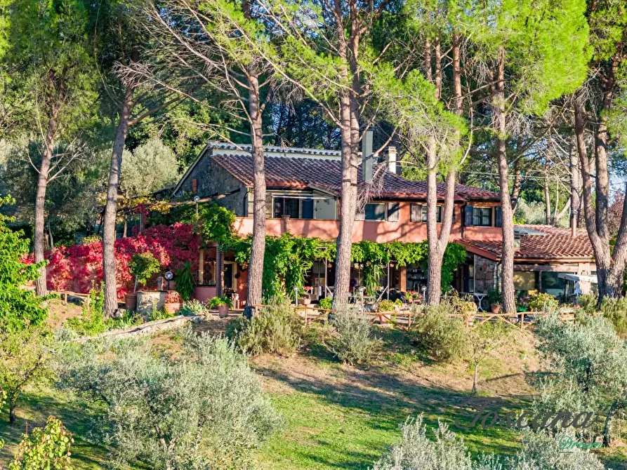 Immagine 2 di Casa colonica in vendita  a Roccastrada