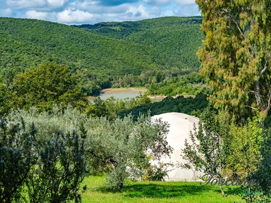 Immagine 73 di Casa colonica in vendita  a Roccastrada