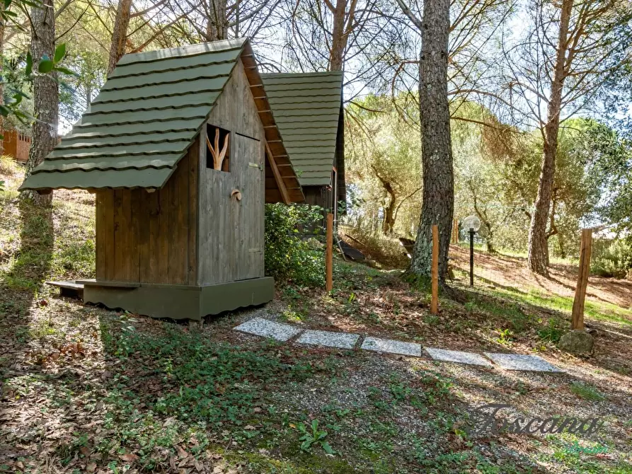 Immagine 50 di Casa colonica in vendita  a Roccastrada