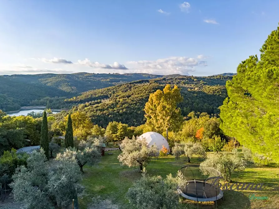 Immagine 80 di Casa colonica in vendita  a Roccastrada