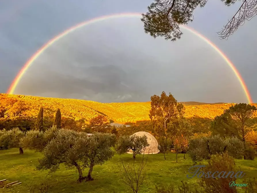 Immagine 77 di Casa colonica in vendita  a Roccastrada