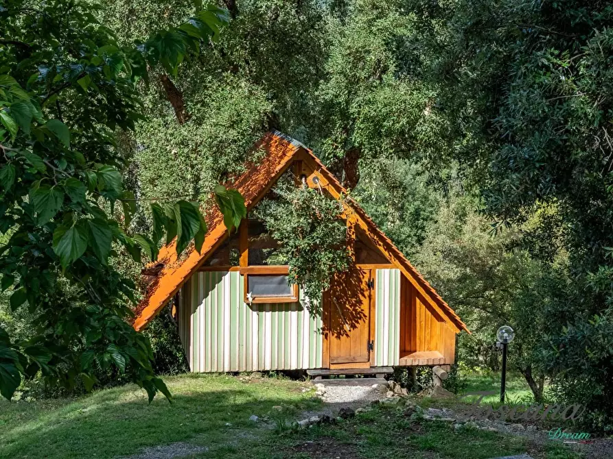 Immagine 27 di Casa colonica in vendita  a Roccastrada