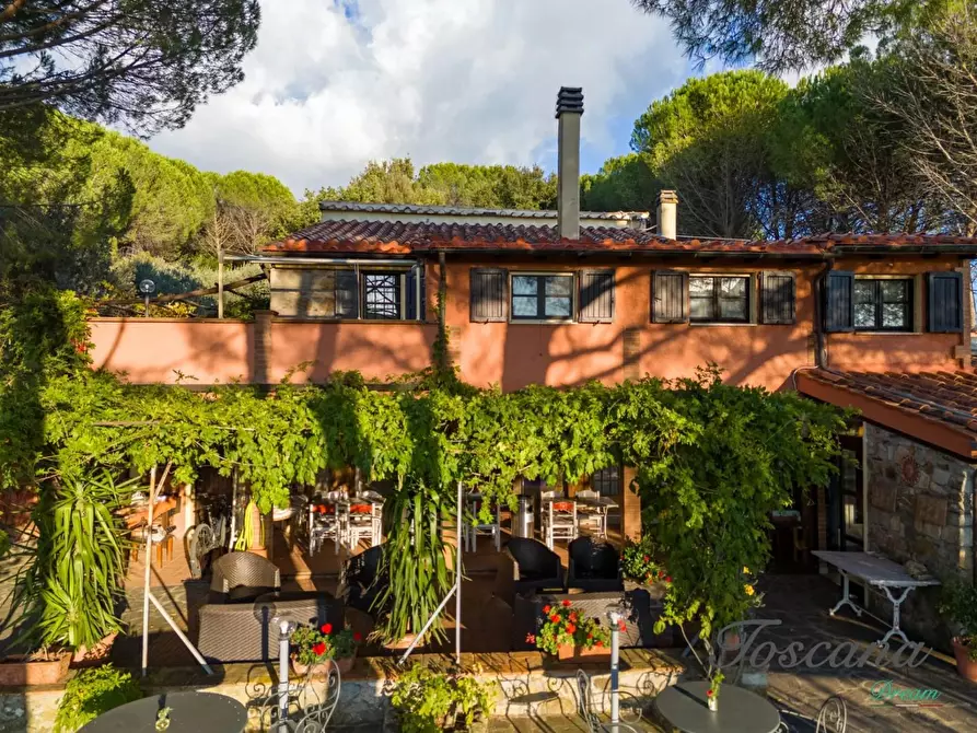 Immagine 3 di Casa colonica in vendita  a Roccastrada
