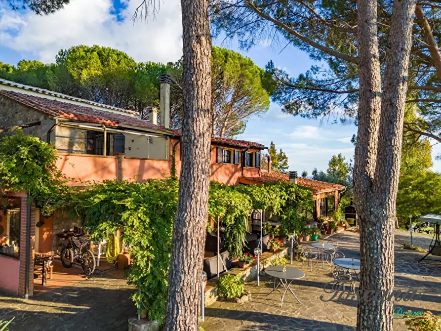 Immagine 4 di Casa colonica in vendita  a Roccastrada