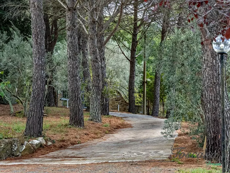 Immagine 81 di Casa colonica in vendita  a Roccastrada