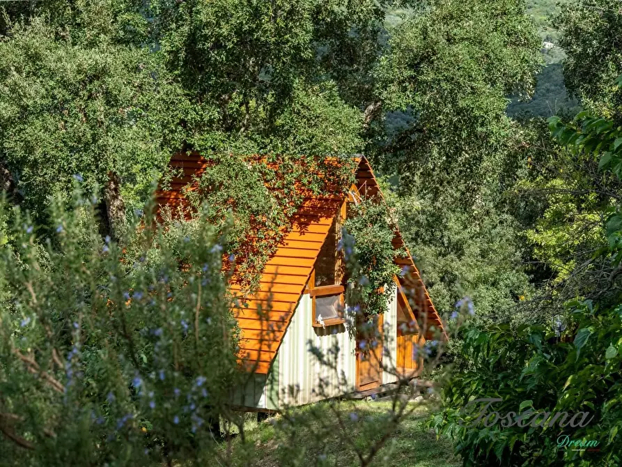 Immagine 26 di Casa colonica in vendita  a Roccastrada
