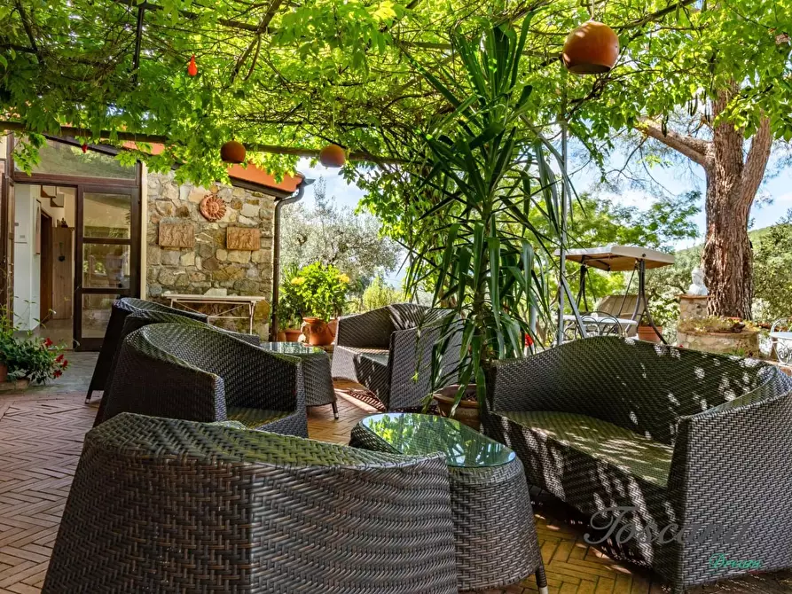 Immagine 18 di Casa colonica in vendita  a Roccastrada