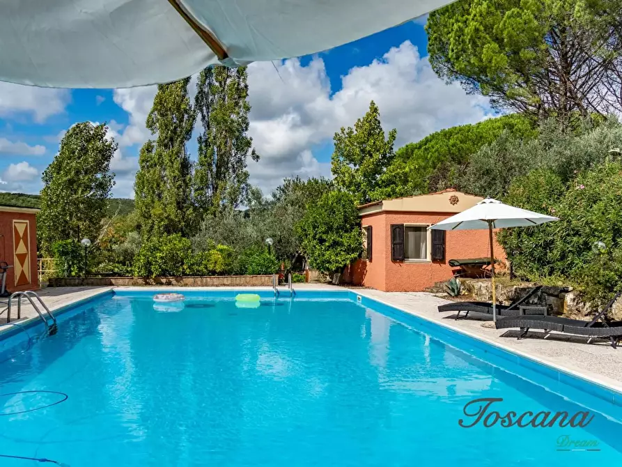 Immagine 14 di Casa colonica in vendita  a Roccastrada