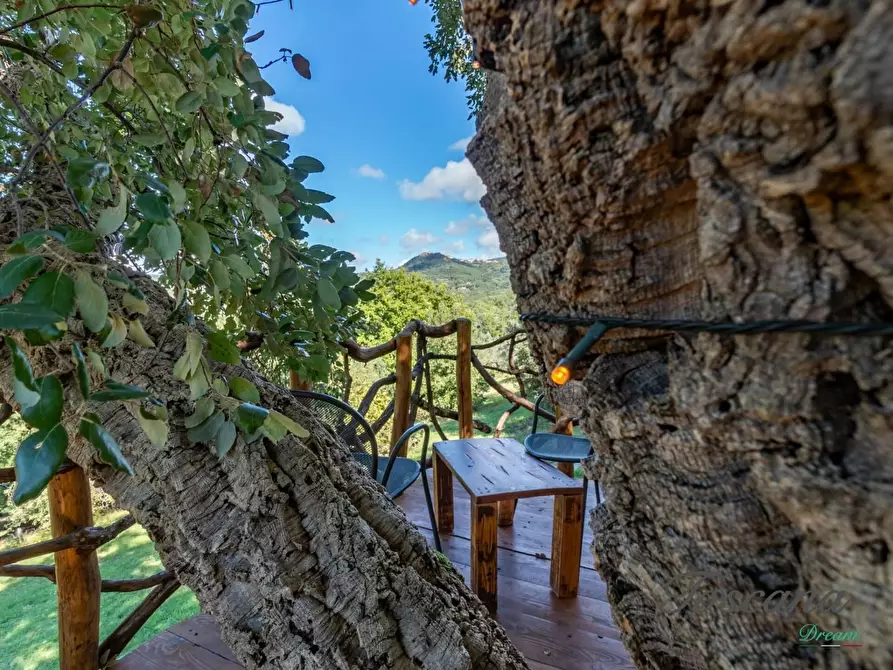 Immagine 37 di Casa colonica in vendita  a Roccastrada