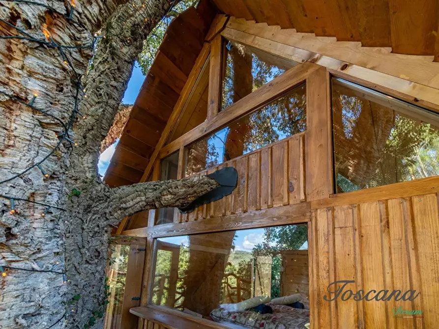 Immagine 38 di Casa colonica in vendita  a Roccastrada