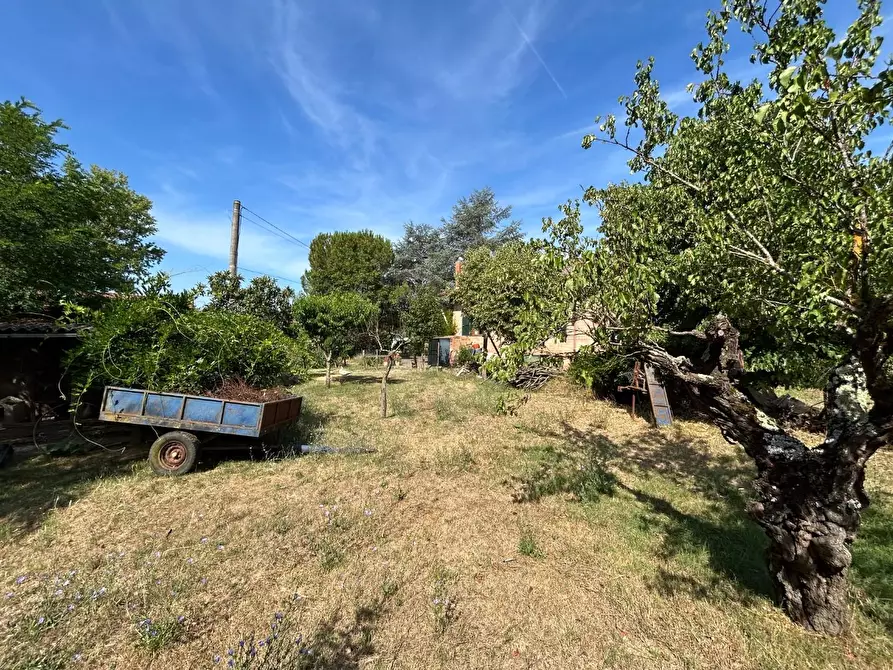 Immagine 5 di Casa indipendente in vendita  a Castelnuovo Berardenga