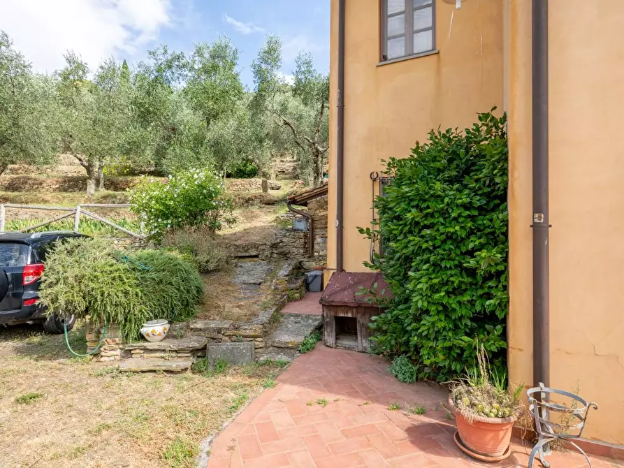 Immagine 41 di Rustico / casale in vendita  a Vicopisano