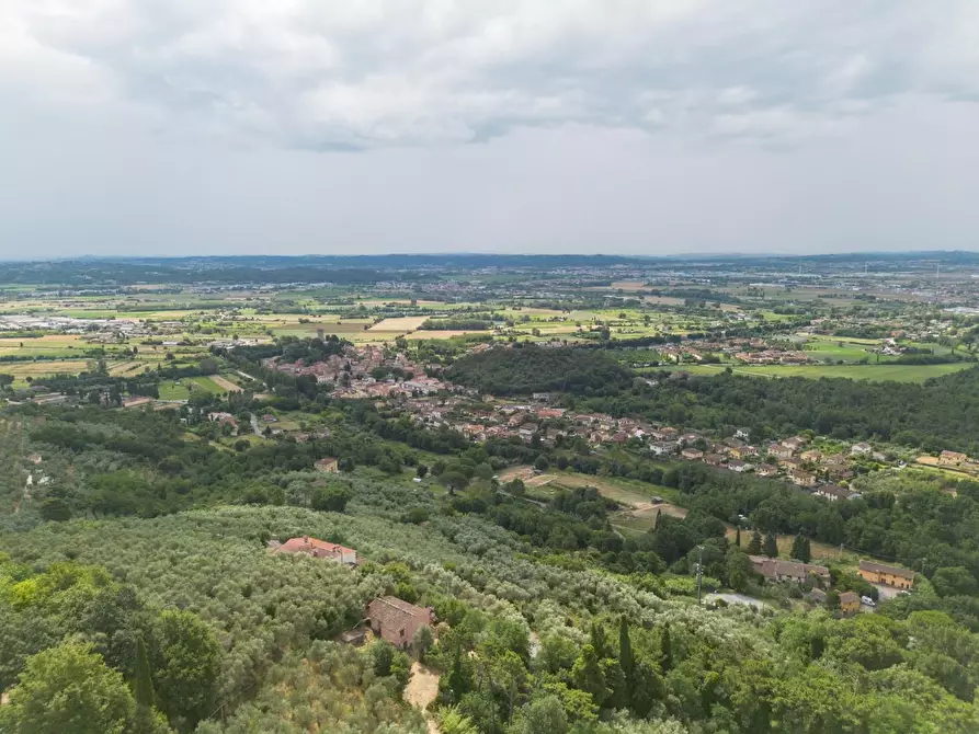 Immagine 43 di Rustico / casale in vendita  a Vicopisano