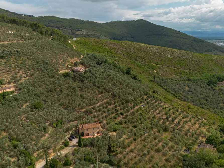 Immagine 3 di Rustico / casale in vendita  a Vicopisano