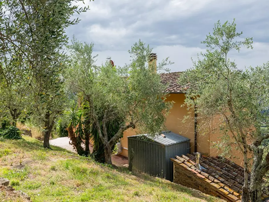 Immagine 42 di Rustico / casale in vendita  a Vicopisano