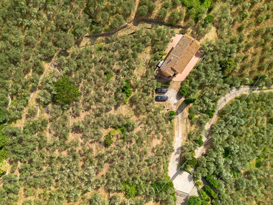 Immagine 2 di Rustico / casale in vendita  a Vicopisano