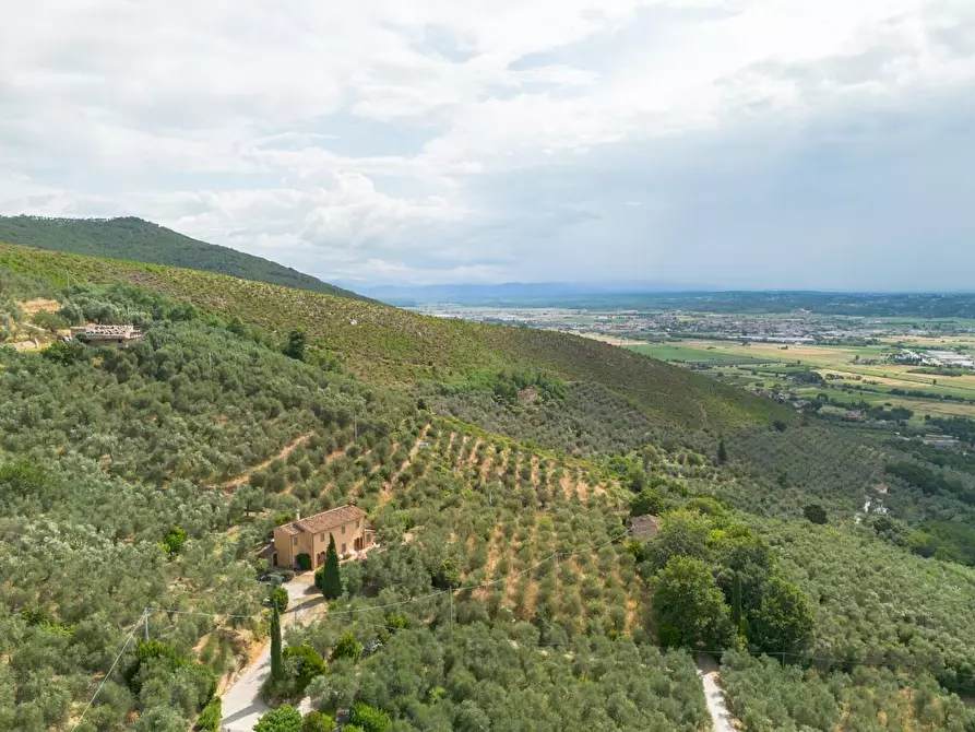 Immagine 4 di Rustico / casale in vendita  a Vicopisano