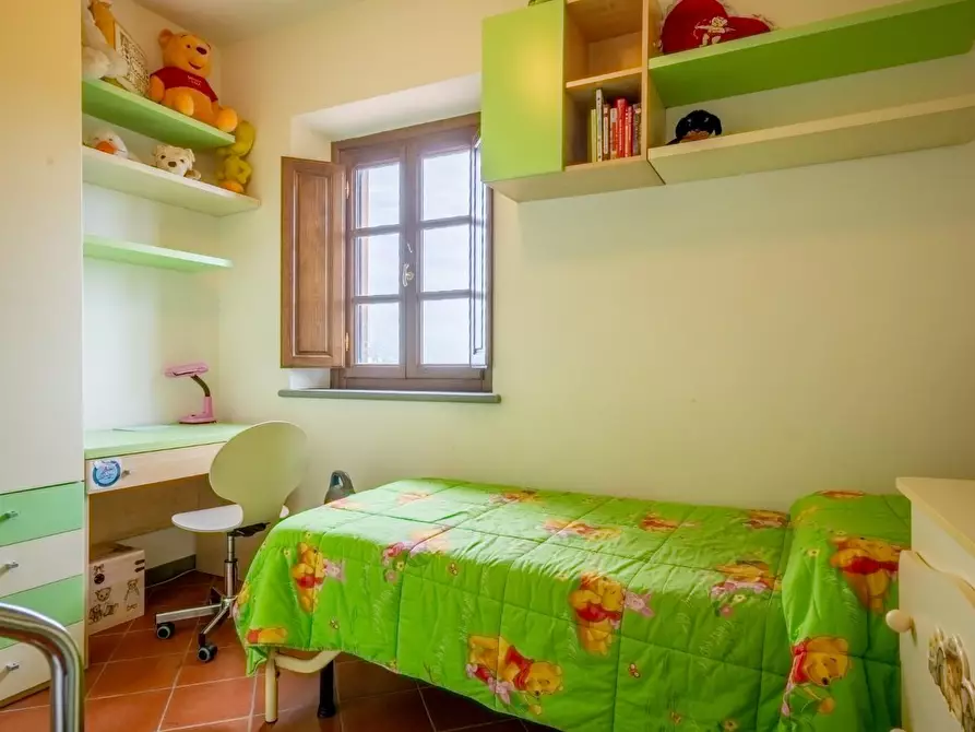 Immagine 25 di Rustico / casale in vendita  a Vicopisano