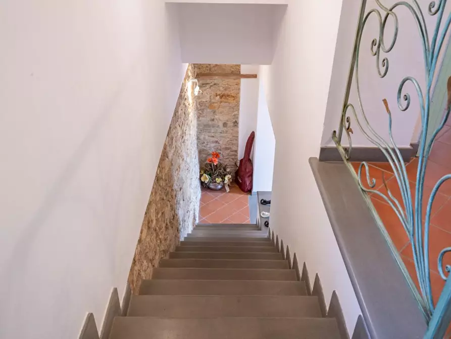 Immagine 23 di Rustico / casale in vendita  a Vicopisano