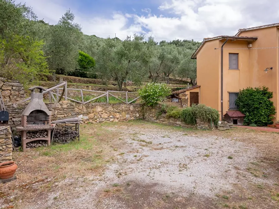 Immagine 40 di Rustico / casale in vendita  a Vicopisano