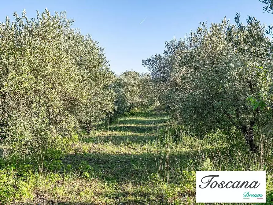 Immagine 48 di Villa in vendita  a Pomarance