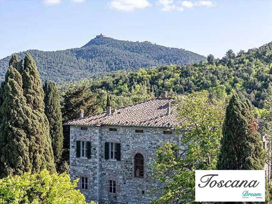 Immagine 6 di Villa in vendita  a Pomarance