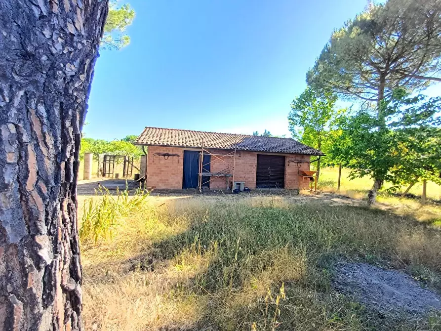 Immagine 22 di Villa in vendita  a Empoli