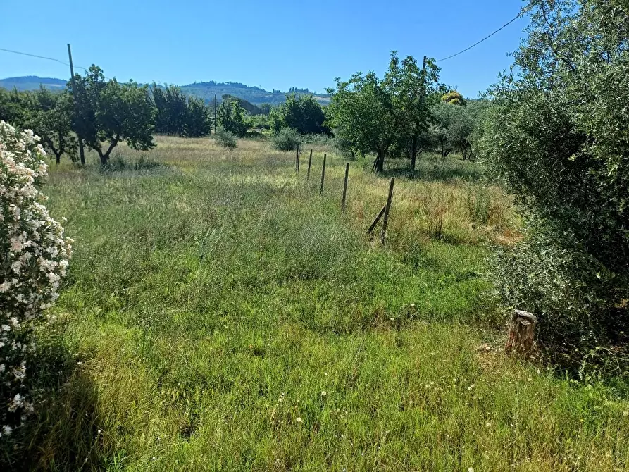Immagine 23 di Villa in vendita  a Empoli