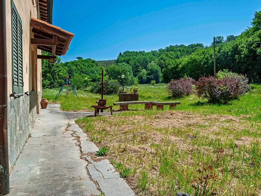 Immagine 16 di Agriturismo in vendita  a San Miniato