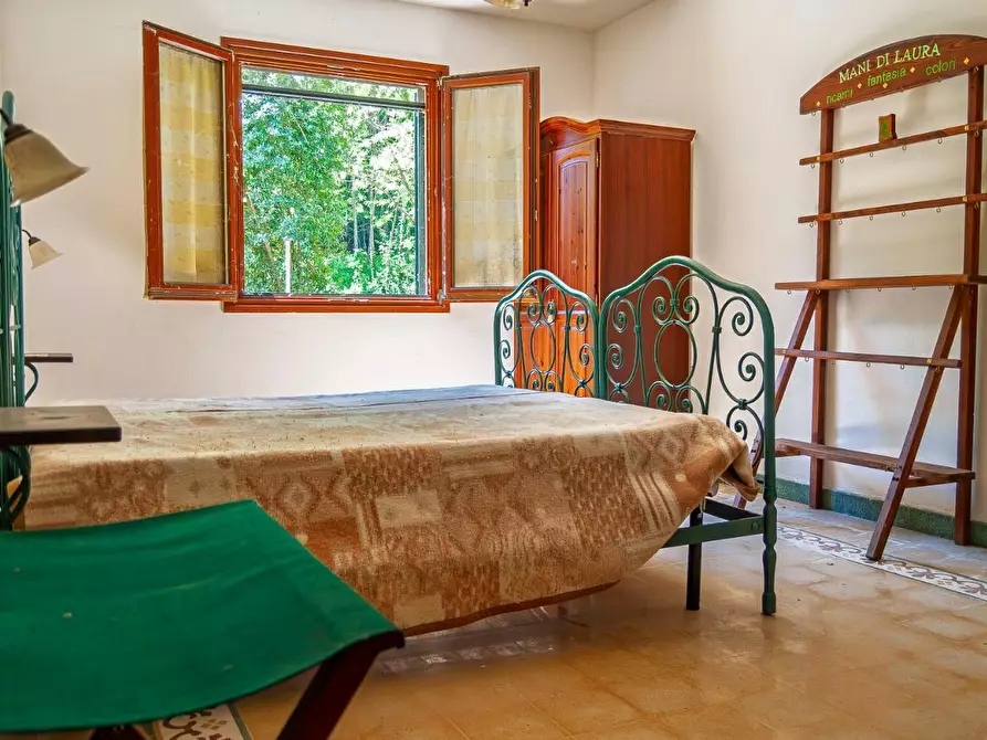 Immagine 3 di Agriturismo in vendita  a San Miniato