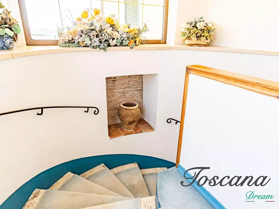 Immagine 18 di Villa in vendita  a Manciano