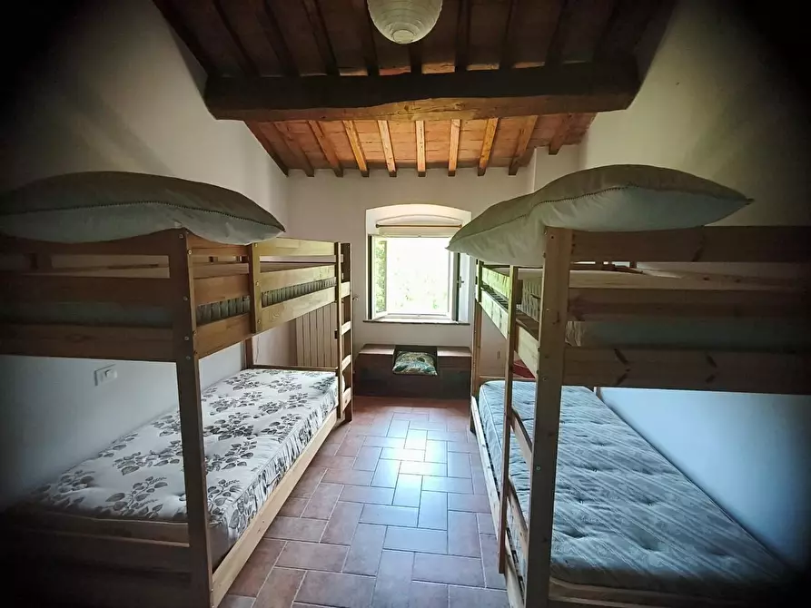Immagine 27 di Casa colonica in vendita  a Calci