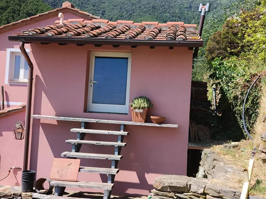 Immagine 35 di Casa colonica in vendita  a Calci