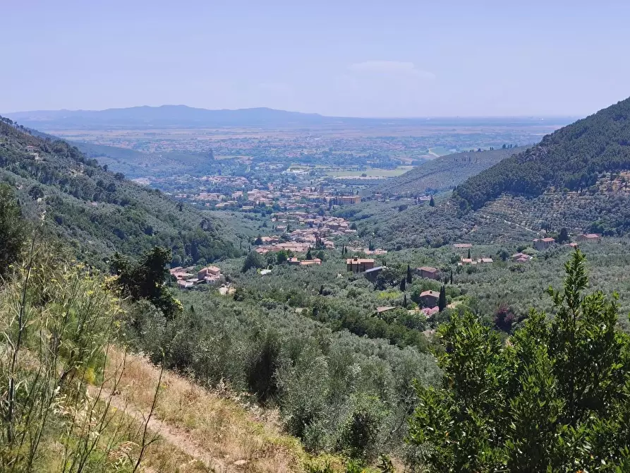 Immagine 40 di Casa colonica in vendita  a Calci