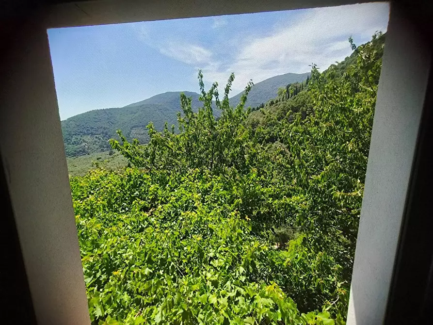 Immagine 25 di Casa colonica in vendita  a Calci