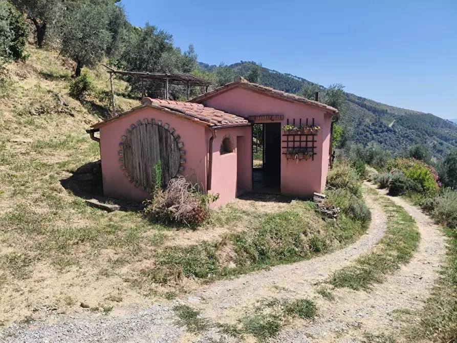 Immagine 33 di Casa colonica in vendita  a Calci